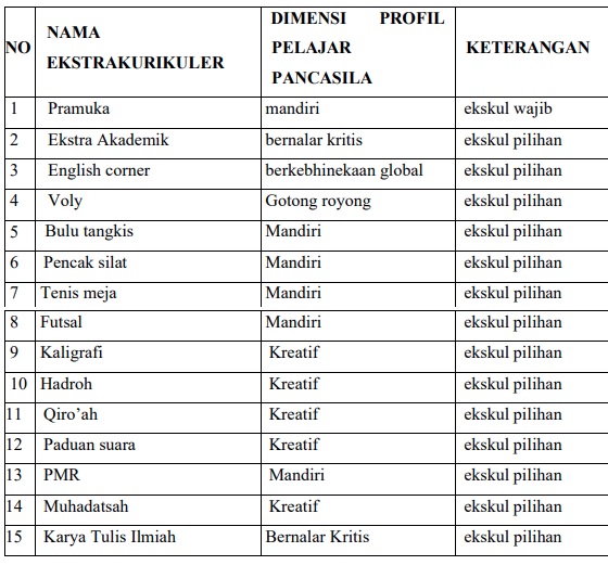 ekstra